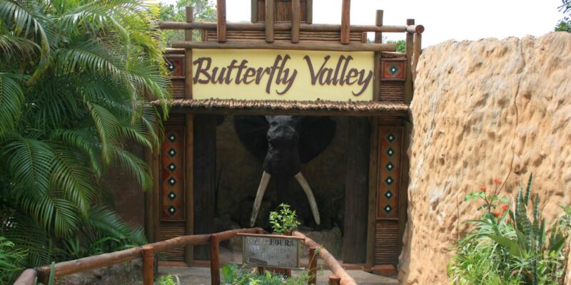 Butterfly Valley – Butterfly Farm