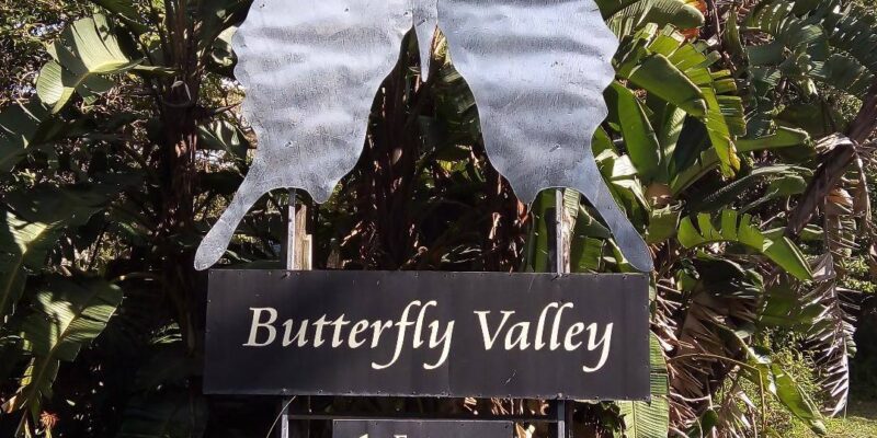 Butterfly Valley – Butterfly Farm